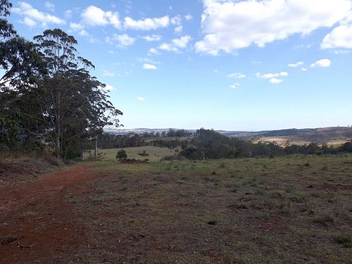 Grapetree, Queensland